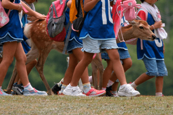 Fotos_0004_excursion